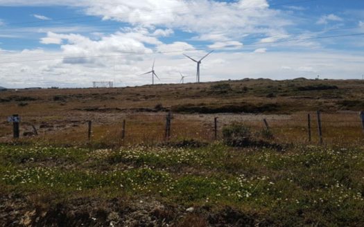 Lote en Cabo Negro, Ruta 9 Km 26 Norte, Punta Arenas