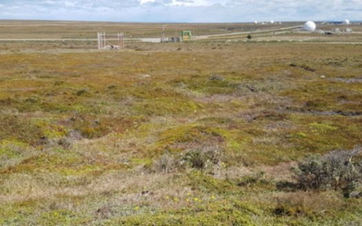 Terreno en Cabo Negro, Ruta 9 Km 25 Norte, Punta Arenas