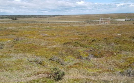 Terreno en Cabo Negro, Ruta 9 Km 25 Norte, Punta Arenas