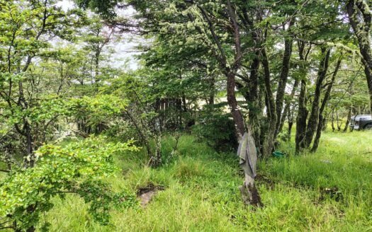 VENTA DE HERMOSA PARCELA DE 10.000 M2. EN EL KM 36 SUR, AGUA FRESCA