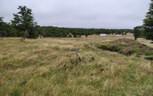 VENTA DE HERMOSA PARCELA DE 10.000 M2. EN EL KM 36 SUR, AGUA FRESCA