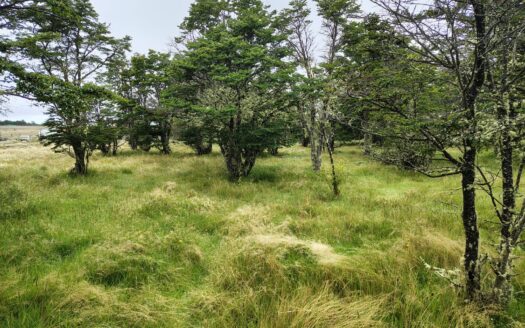 VENTA DE HERMOSA PARCELA DE 10.000 M2. EN EL KM 36 SUR, AGUA FRESCA