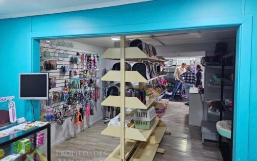 VENTA de Casa esquina en calle Armando Sanhueza